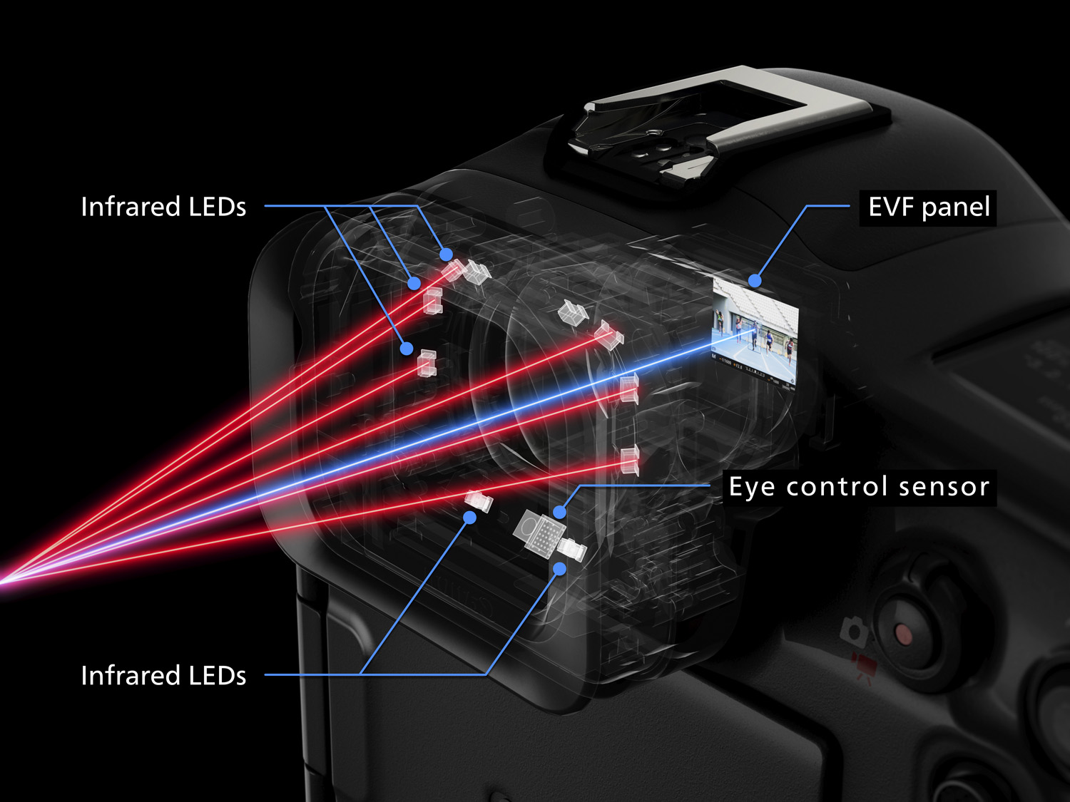 Diagram showing how eye-control AF works