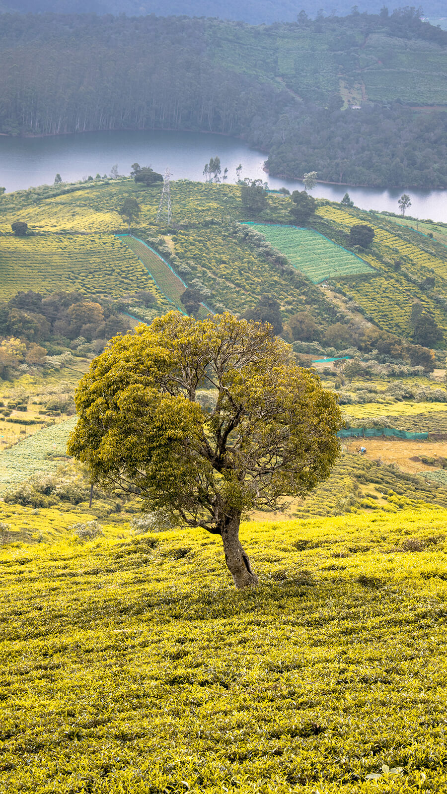 Making The Most Of Your Wide Angle Lens Photography News